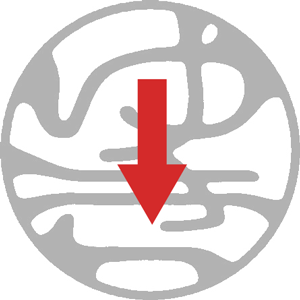 縦