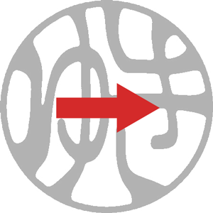 横（左→右）