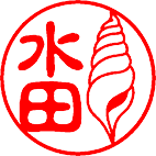 貝殻