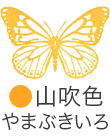 いろもよう：山吹色（やまぶきいろ）