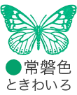 いろもよう：常磐色（ときわいろ）