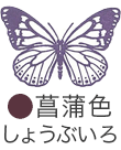 いろもよう：菖蒲色（しょうぶいろ）