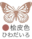 いろもよう：桧皮色（ひわだいろ）