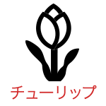 チューリップ