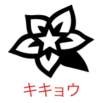 キキョウ