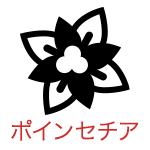 ポインセチア