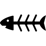 魚の骨