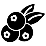 ブルーベリー