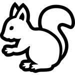 リス1