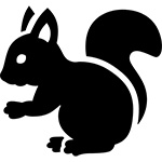 リス2