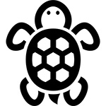 カメ