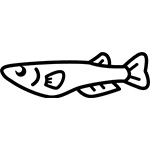 めだか