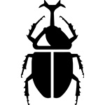 カブトムシ