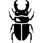クワガタムシ