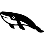 クジラ