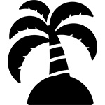 ヤシの木