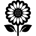 ひまわり