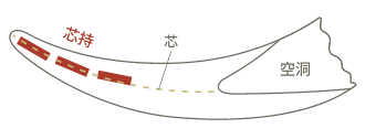 黒水牛の品質･･･芯持（しんもち）とは？